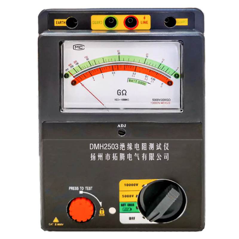 DMH2503绝缘电阻测试仪5000V/10000V    3123
