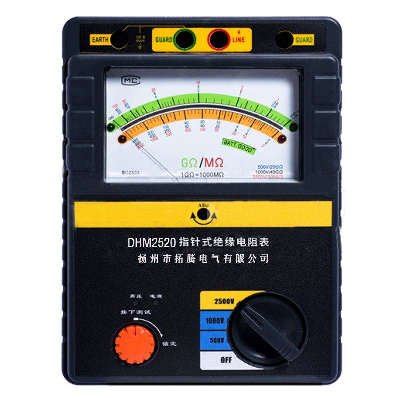 DMH2520绝缘电阻仪（500V/1000V/2500V) 3121