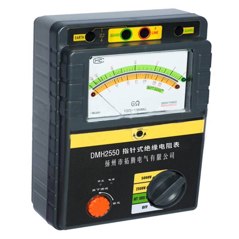 DMH2550绝缘电阻测试仪（2500V/5000V）3122