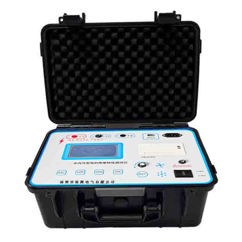 TEDQ-2678A水内冷发电机绝缘特性测试仪